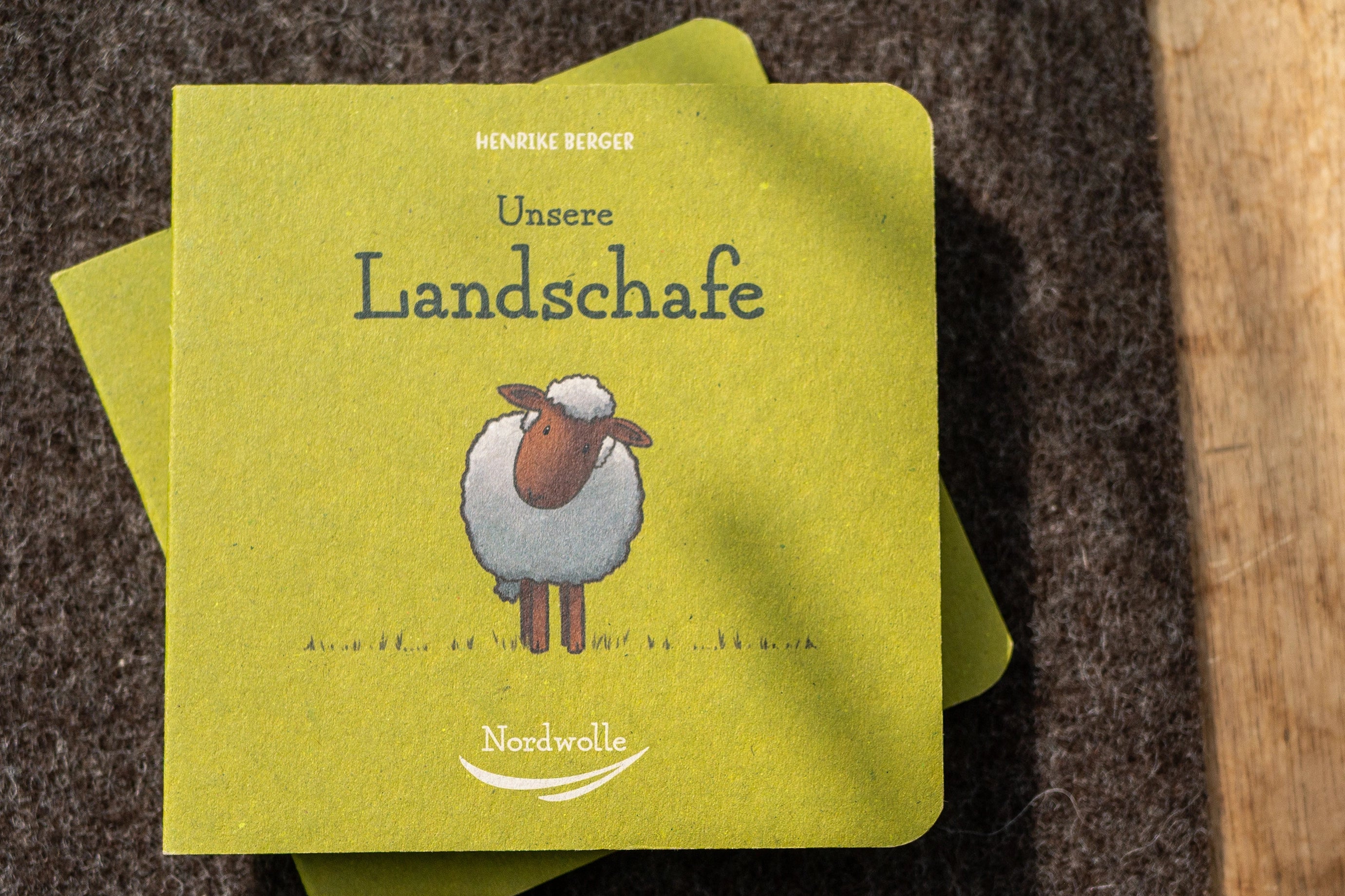 Das Cover des Buches